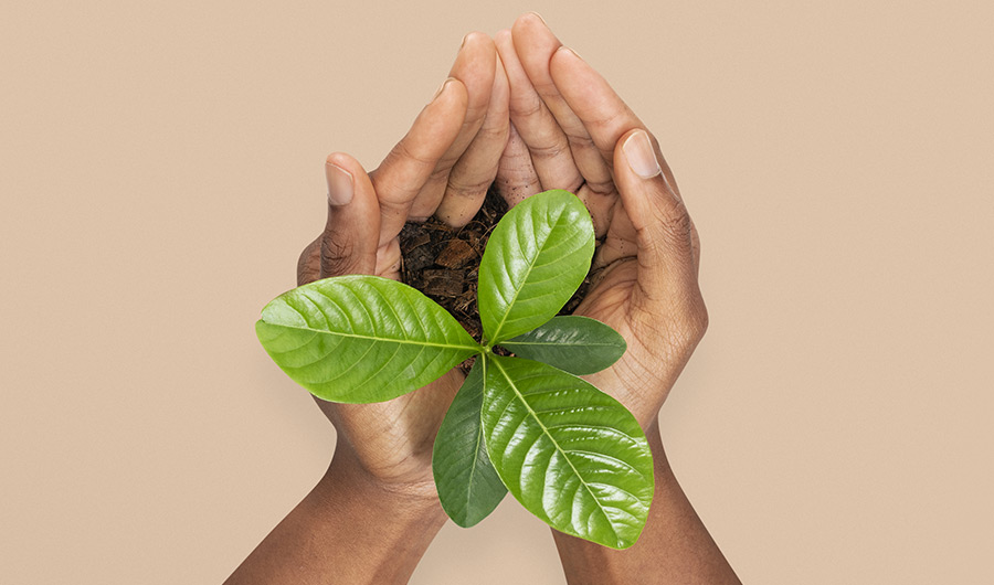 Pour un environnement plus sûr